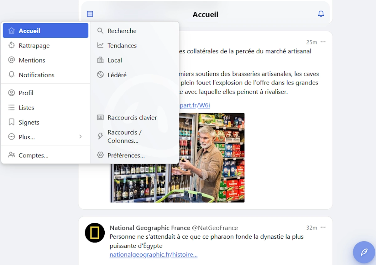 Aperçu de l’interface Zefplace (Phanpy) : fils et navigation